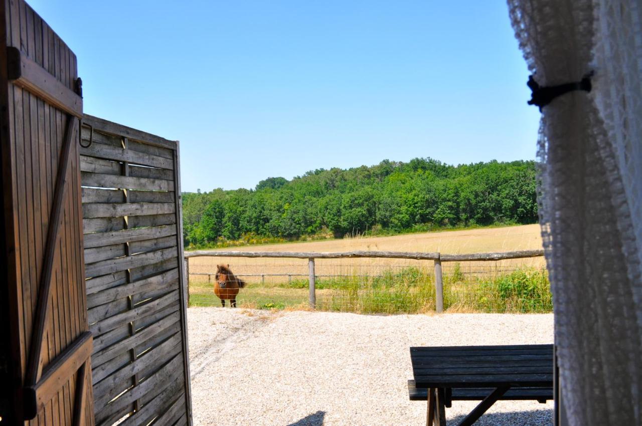 La Ferme Couderc Vila Castelnaud-de-Gratecambe Exterior foto